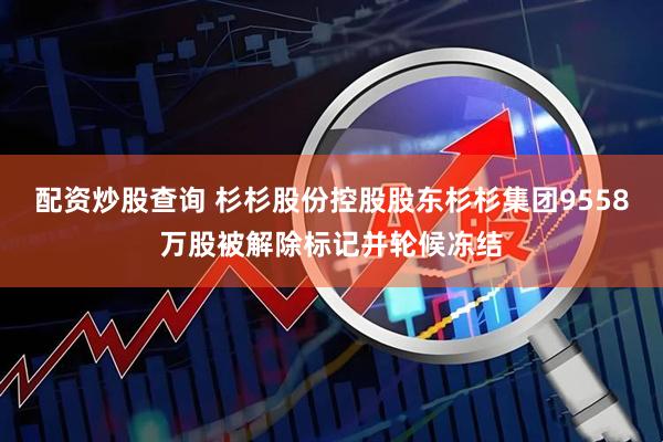 配资炒股查询 杉杉股份控股股东杉杉集团9558万股被解除标记并轮候冻结